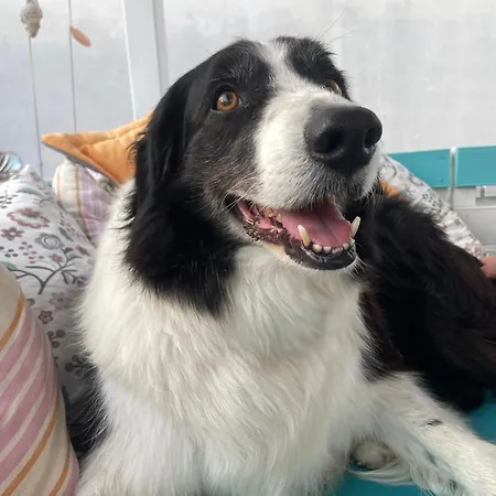 Orange Terrace Albufeira