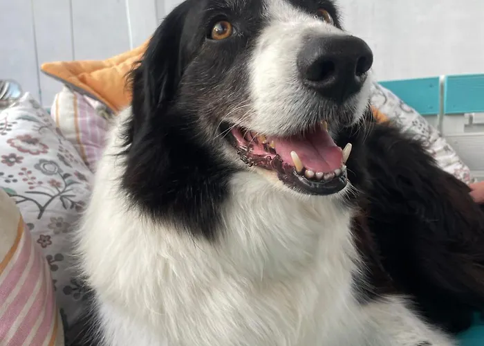 Orange Terrace Albufeira